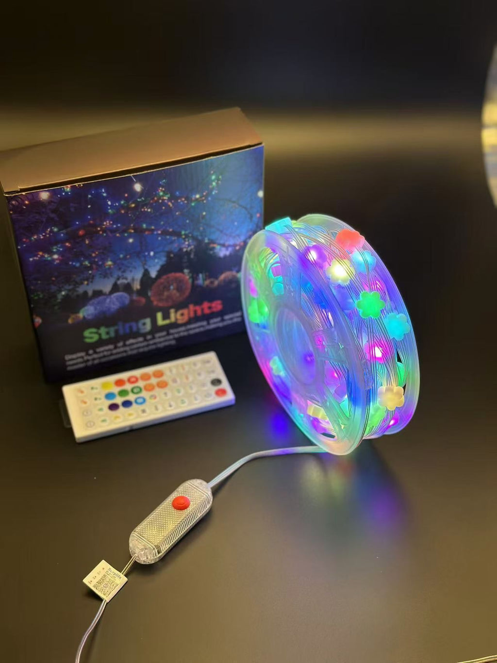 24V 25m Four-Color 8-Function String Light + 8-Function Controller with Power Supply