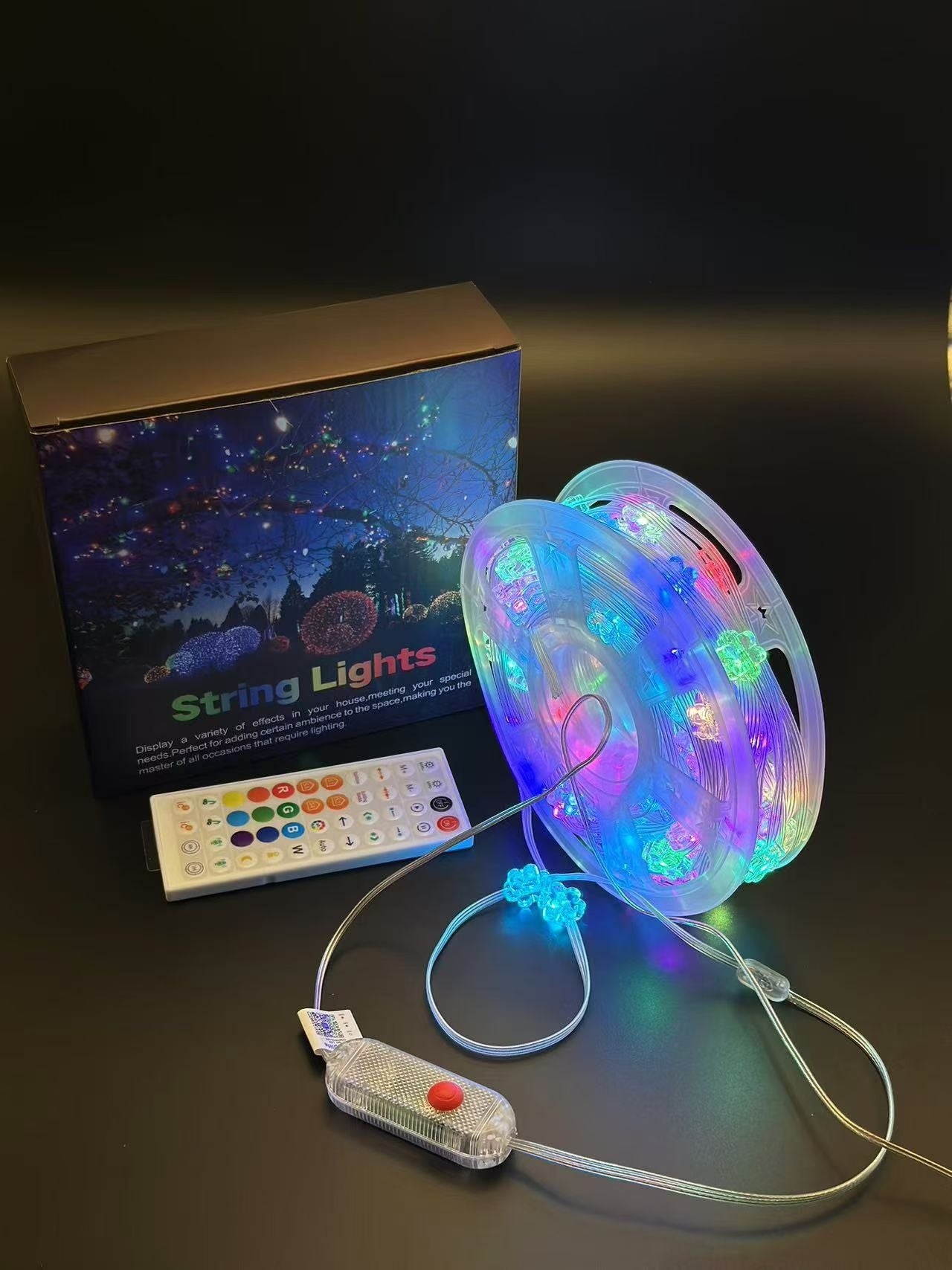24V 25m Four-Color 8-Function String Light + 8-Function Controller with Power Supply